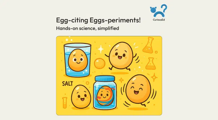 Curioused: Fun Egg Experiments for Kids